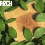 Modernarch Realism Resource Pack (1.21.11, 1.20.1)