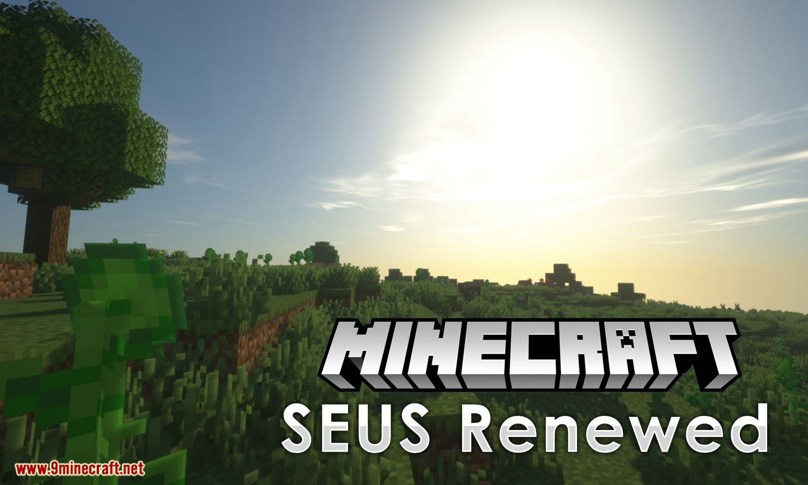 SEUS Renewed Shaders (1.21.11, 1.20.1)