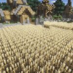 Soartex Fanver Resource Pack (1.16.5, 1.15.2)