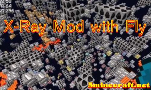 X-Ray Mod with Fly