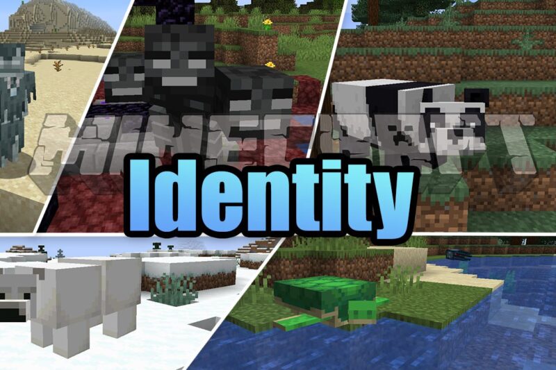 Identity Mod (1.20.1, 1.19.2)